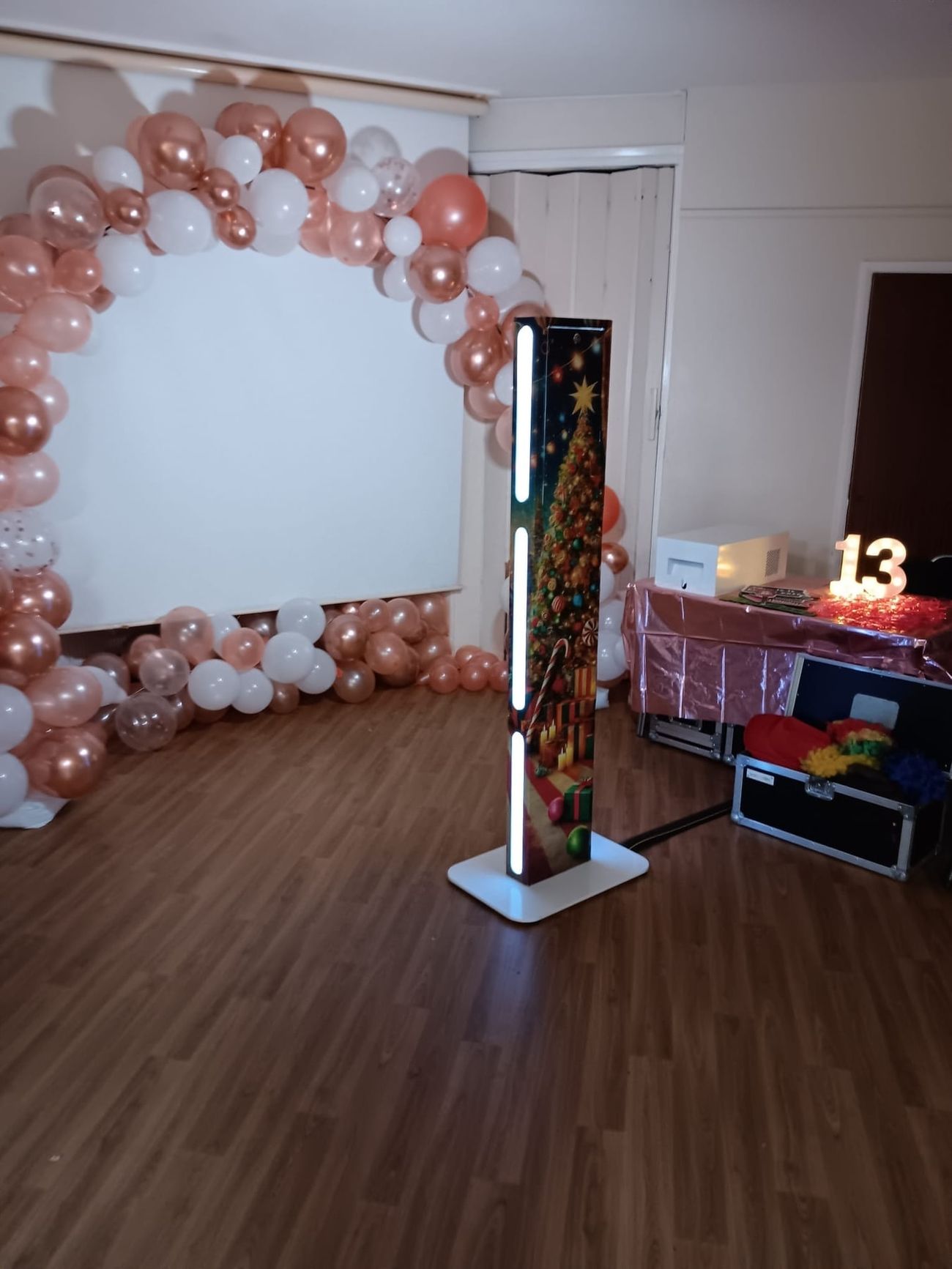 Cheam Fields Primary Prom 2025